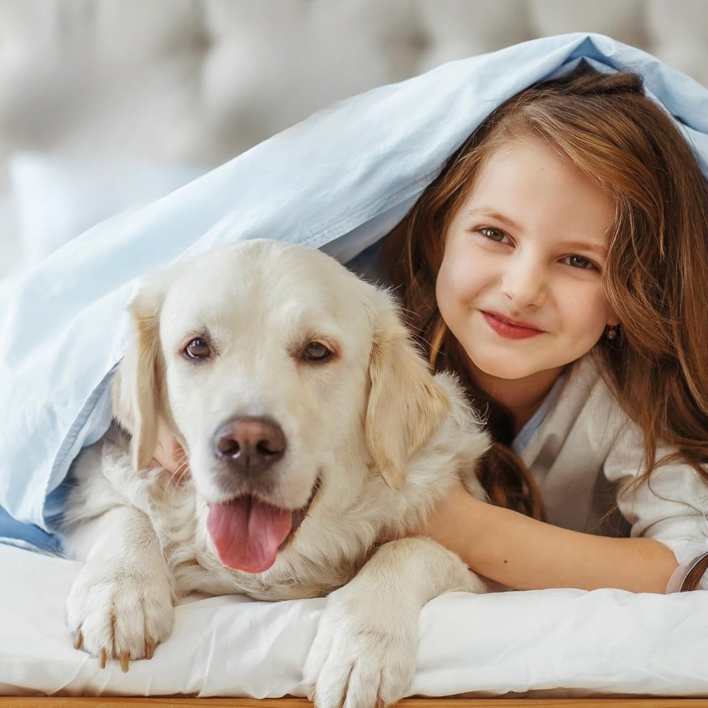Bevunto™ - Advanced Dog Calming Diffuser