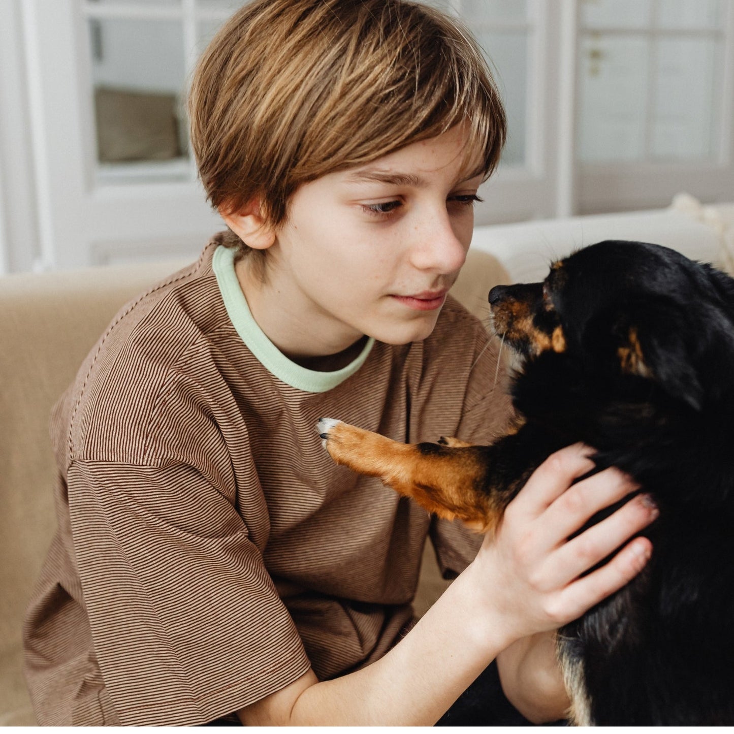 Bevunto™ - Advanced Dog Calming Diffuser