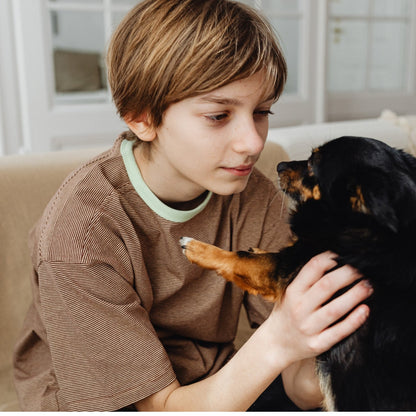 Bevunto™ - Advanced Dog Calming Diffuser